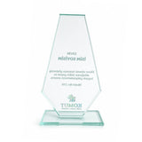 Elmas Kesim Füme Kristal Plaket Model 216 - 238