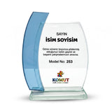 Kavisli Şerit Detaylı Çift Katman Kristal Plaket – Model 253
